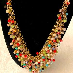 Multi Color Necklace.
